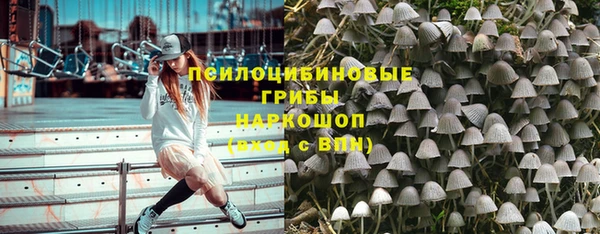 прущие крисы Армянск