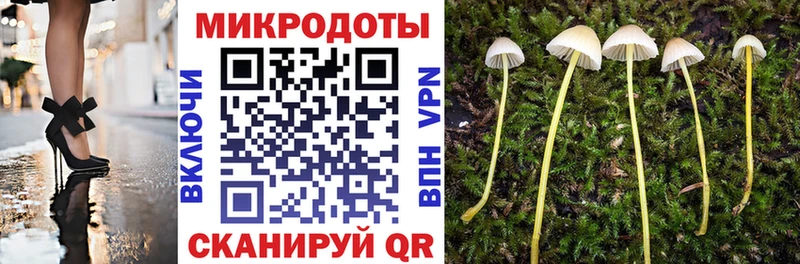 Галлюциногенные грибы ЛСД  Боровичи 